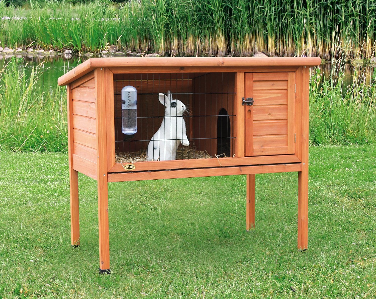 Eggshell Online Chicken Coops And Houses For Sale Lancing Chicken